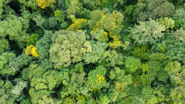 Construire une maison de ses rêves est faisable avec un expert
