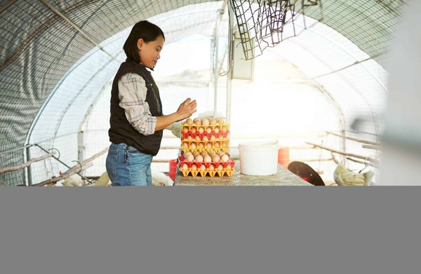 Quelles sont les meilleures façons de planifier le placement des invités lors d'une cérémonie de mariage ?