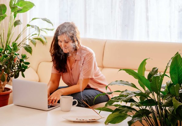 Quels sont les bienfaits des plantes à encens ?