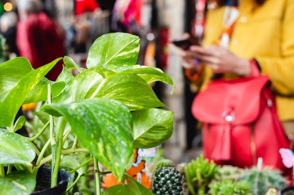 Salon de l'environnement: les prochaines dates à marquer dans son agenda