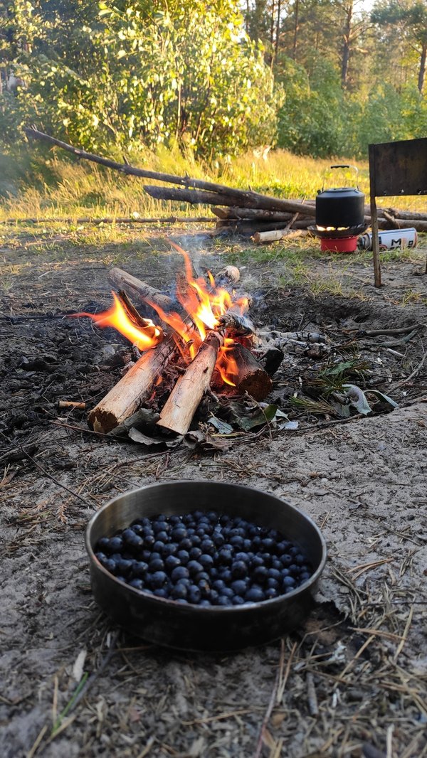Quels sont les services de location dans les campings 3 étoiles à Montalivet ?