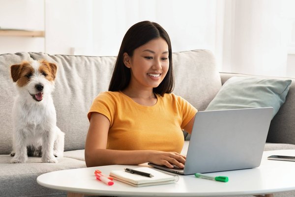 L'importance des images dans la structure du site web